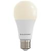 BLAUPUNKT E27 A65 Lampadina LED 18W 1980lm Bianco Caldo, Confezione singola | Non dimmerabile, Fascio ampio, Attacco a vite E27, Senza sfarfallio, IRC elevato - per grandi ambienti e open space