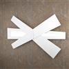 TopLight RIBBON APPLIQUE D.105CM 2 LUCI ATTACCO 2G11 BIANCO