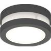 TopLight SOHO APPLIQUE PLAFONIERA 14CM 1 LUCE GRIGIO ANTRACITE IP54 1 LUCE ATTACCO GX53