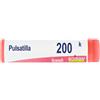 Boiron Pulsatilla 200K - Medicinale omeopatico per i disturbi ormonali e respiratori, 80 granuli