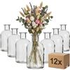 gouveo Set da 12 vasi in vetro 250 ml rotondi (0,25 l) senza chiusura stile bottiglia da farmacia per fiori singoli decorazioni da tavola e ambienti (AVTR250)