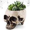 QIANAI Porta Piante Grasse Ciotola, Pentola Teste Del Cranio a Forma, Caramelle di Halloween Scheletro, Teschio Decorativo, Vaso da Fiori con Teschio in Resina