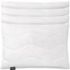 Lileno Home Imbottitura per cuscino, 40 x 60 cm, set da 4 pezzi, cuscino interno trapuntato, per chi soffre di allergie, in microfibra, come cuscino decorativo e cuscino da divano, lavabile a 40 °C