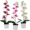 SJUNJIE 3 Pezzi Orchidea Finta Realistica Realistico Orchidee Finte 39cm | Phalaenopsis Piante Ornamentali Fiori di Orchidea Artificiali per La Decorazione Del Tavolo Della Casa Ufficio Nozze Partito