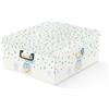 BERARDI, Kit 2 Scatole per Armadio in Cartone con Coperchio, Organizer per Vestiti e Biancheria, 47x42x21 cm, Orsetto blu