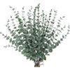 PacuM Eucalipto Artificiale Foglie 30 Pezzi Pianta di Eucalipto Artificial Eucalipto Essiccato Rami Decorativi Eucalipto Artificiale Rami Finti Eucalipto Decorative,per Casa Festa, Matrimoni, Giardino