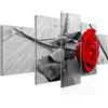 Runa Art Murali Da Parete Fiori Rose 5 Pezzi Quadro Tela Non Tessuta Decorazione Soggiorno Legna Rosso Grigio 204452a