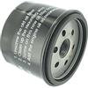 Green Star Greenstar, 6144, GreenStar 6144 Filtro olio per Briggs e Stratton kit di manutenzione adatto & amp;