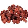 zyrqon corpo filtrante naturale dell'acquario della roccia vulcanica 500g per | Le sfere porose di roccia vulcanica assorbono ammoniaca, bilanciano il pH, arricchiscono i minerali per un acquario sano