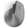 Hama Mouse Hama EWM-700 Wireless USB Ottico 2400Dpi 8 tasti Grigio [UMHAMRBD0173095]