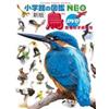 Osamu Yuzuki Shogakukan Picture Book Neo Birds With Dvd (Tascabile)
