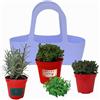 P. Piantine da orto .Borsa LILLA dal design elegante accompagnate da 3 aromatiche,piante vere da balcone,terrazzo,giardino e orto .Idea regalo (LAVANDA,MAGGIORANA,TIMO, 3)