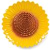 CITINER Poggia Cucchiaio in Ceramica a Girasole, Grattugia per Zenzero e Aglio 2-in-1, Poggia Mestolo da Cucina per Piano Cottura e Bancone, Piatto Grattugia e Portamestolo Decorativo, Giallo