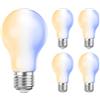 ledscom.de 5x lampadine LED E27, A60, bianco caldo - bianco freddo (2700-6300 K), 6,7 W, 918lm, Smart Home, WLAN, Alexa, vetro smerigliato
