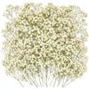 Fyhqwf 100 Pezzi Gypsophila Essiccata - Gypsophila Bianca - Fiori Secchi Decorativi - Decorazioni Fai Da Te Per Matrimoni, Oggetti Artigianali In Resina, Materiali Per Composizioni Floreali Creative