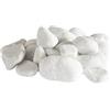 Decor Space Pietre decorative per camino a bioetanolo sassolini Bianchi Biocamino 24 Pz