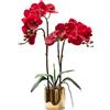 CXGS Pianta artificiale di orchidea realistica al tatto, orchidee finte in vaso di ceramica rosso, 50 cm, decorazione per interni e casa