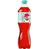 Tomarchio Ginger 1,250 lt