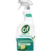 Cif vetri Green Active 650 ml