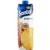 Succo di frutta Ananas Santal 1 litro