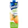 Succo di frutta Arancia Santal 1 litro