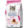 MONGE & C. LECHAT EXC KITTEN GAT