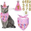 OIXEYA Set Compleanno Cane e Gatto, Bandana Rosa e Cappello con Numeri Adesivi, Accessori Festa per Cani di Piccola e Media Taglia, Decorazioni Compleanno Animali Domestici, Taglia M
