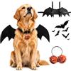 FePen Ali di Pipistrello per Animali Domestici, Costumi di Halloween per Cane e Gatto con Campana di Zucca, per Decorazione di Cosplay