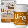 Generico Urys Caps Cane e Gatto 30 Capsule Birillo Monodose - Integratore per il Benessere delle Basse Vie Urinarie, con Palmitoil-Glucosamina Micronizzata ed Esperidina