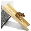 Mestive 60 × 12,5 × 7 cm, rampa da arrampicata per porcellini d'India: 9 mm, scala giocattolo per criceti, ponte pieghevole in legno per animali domestici, ponte a gabbia in legno per piccoli animali