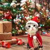 Comioke Cane Natale Rosso Mantello, Costume Natalizio per Animali Domestici, Gatto Mantello Natalizio, Gatti Cani Mantello Natale, Mantelle in Costume per Cucciolo, Costume Natale per Cucciolo Gattino