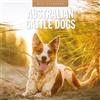 Red Robin Publishing Red Robin 2027 Australian Cattle Dogs Calendario mensile da parete | 30,5 x | Calendario da 12 mesi, carta spessa e robusta di alta qualità, note a righe e area per le cose da fare, immagini vivaci
