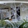 LSUO BAOFU Halloween Ragnatela Decor, 200g Stretch Web +40 Black Fake Spiders | Ragnatela elastica bianca da 200g con 40 ragni finti neri, decorazione Halloween interna/esterna facile da stendere.
