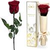 Yamonic Rosa Stabilizzata Regalo Donna,Rosa Eterna con Steli Regali per Lei | Regalo per Donne Compleanno,Regali Mamma Natale San Valentino,Vera Rosa Bordeaux