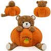 QuidToyzian Orsacchiotto di Peluche Zucca di Halloween, Morbida Pelliccia Peluche Bambino Peluche di Orsacchiotto, Orsacchiotto Simpatico Peluche Giocattolo Regalo per Ragazzi e Ragazze 30 cm
