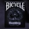 Bicycle Phantom