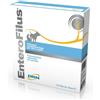 Drn Enterofilus Mangime Complementare Simbiotico Cani E Gatti 12 Fiale