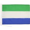 AZ FLAG Bandiera Sierra Leone 45x30 cm Poliestere 100D Cordini | Uso interno ed esterno bandiera decorativa sierraleonese doppie cuciture e bordi rinforzati