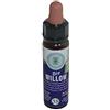 farmaflor Willow Nr. 38 Princeps Fiori di Bach 38 BIO Cromoterapici Salice