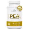 Bandini® PEA 600mg con Boswellia e Quercetina in Sinergia - 120 Capsule | Integratore naturale di Palmitoiletanolamide e Polidatina - Supporto per Muscoli, Articolazioni e Benessere Quotidiano