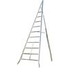 FACAL Echelle Direct Scala alluminio agricoltura, Alluminio, 3 m