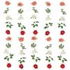 CEWUDA 5 Pezzi Ghirlanda Fiori Artificiali Ghirlanda di Peonia Rosa Appesi Fiori Finti per Decorazioni 180 cm Fiori di Seta Vite per Arco di Nozze Casa Giardino Matrimoni Feste Giardini Stanze