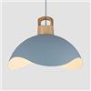 RCIDOS Eleganti Lampade A Sospensione Semplici Illuminazione Personalizzato Creativo Sospensione Creativa Pastorale Soffitto in Metallo Macaron Sospensione A Testa Singola E27 per Soggiorno Cucina