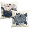 Artoid Mode Set da 2 Federe Cuscini Autunnali Foglie Zucche Blu 45x45 cm | Stagionali Fall Decorazioni per Divano Salotto
