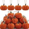 Augisteen 16 ornamenti da appendere a zucca autunnale del Ringraziamento in tessuto di velluto arancione zucca da appendere piccoli ornamenti per albero da 5,6 cm in tessuto zucche decorazioni per albero per