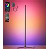 riyo Lampada da Terra LED Soggiorno 2400LM, 146cm Piantana LED Angolare con 168 LEDs, Lampada da Terra Dimmerabile 2800K-6500K, Sync Musicale & Smart APP per Camera da Letto, Gaming, Ufficio