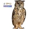 Generic Falco Spaventapasseri per giardini Appeso Finto Gufo Esca per spaventare gli Dispositivo repellente per piccioni