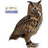 Generic Falco Spaventapasseri per giardini Appeso Finto Gufo Esca per spaventare gli Dispositivo repellente per piccioni