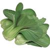 PAGANO DOMENICO E FIGLI SEMENTI DAL 1954 CAVOLO CINESE PAK CHOI VERDE NR.300 SEMI