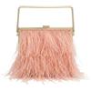 MOISTRI Pochette Rigida Donna con Piume di Struzzo, Borsa da Sera con Manico Superiore per Matrimonio, Feste, Cocktail e Serate Eleganti